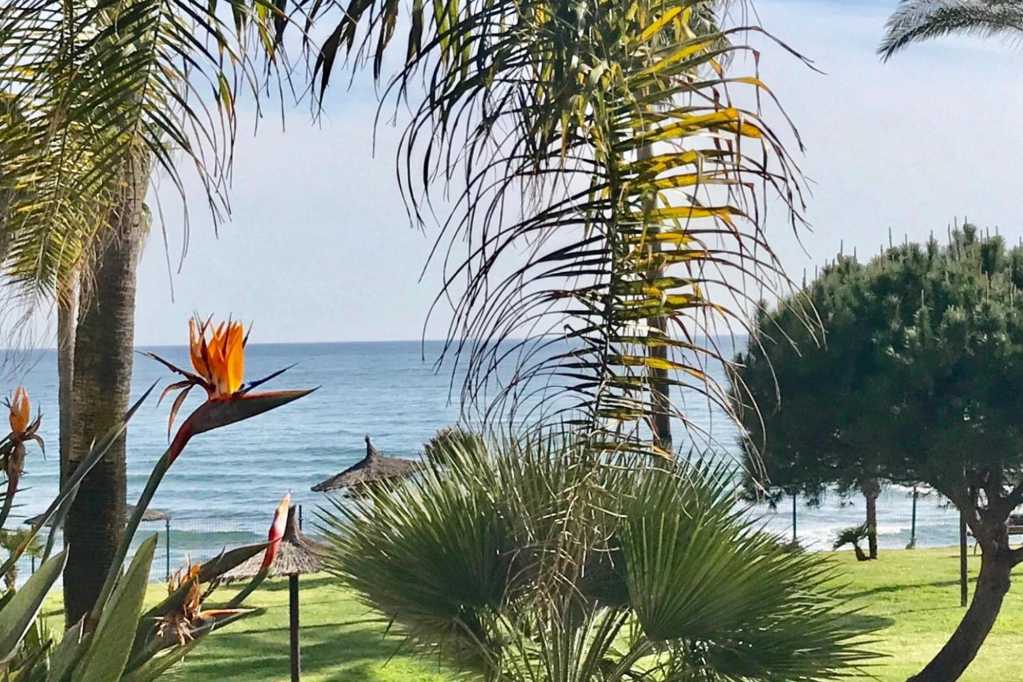 Mi Capricho 2D Beachfront- Apartment With Sea View - Costa Del Sol Sitio de Calahonda Kültér fotó